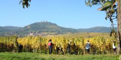 Week-end sur la route des vins d’Alsace, de Colmar à Thann